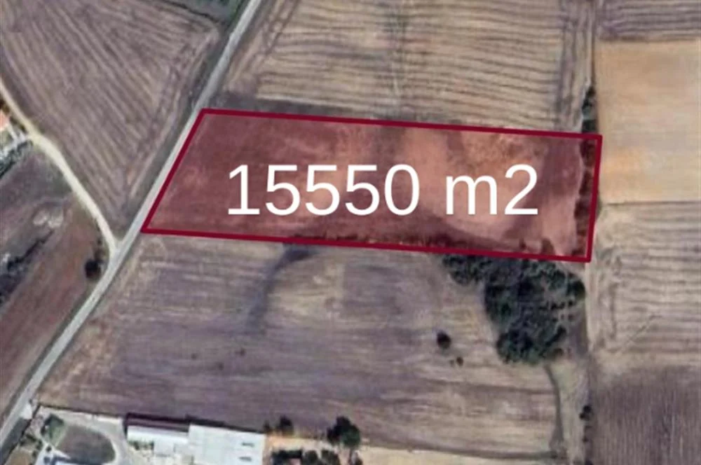 Hamitabat’ta asfalt cepheli 15.550 m² tarla — fotoğraf 2