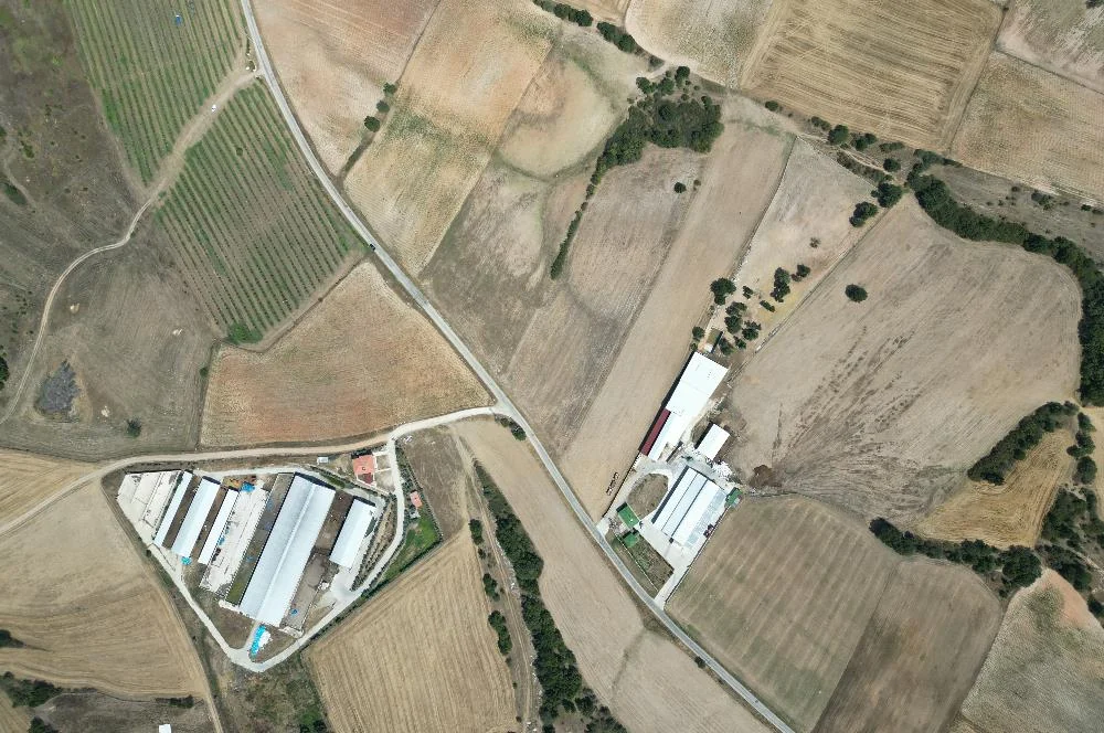Hamitabat’ta asfalt cepheli 15.550 m² tarla
