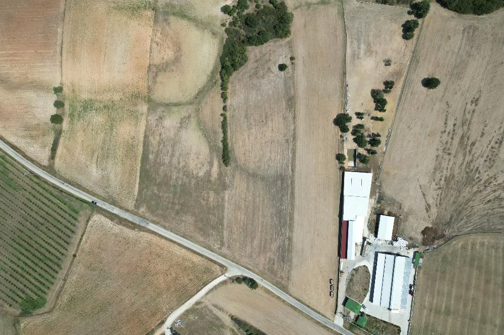 Hamitabat’ta asfalt cepheli 15.550 m² tarla — fotoğraf 4